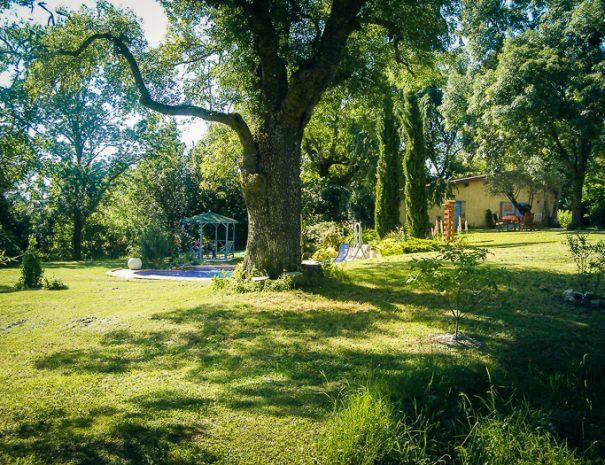 joncasse-haute-caraman-arbres-605x465 joncasse-haute-caraman-arbres-605x465